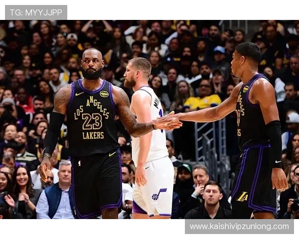 尊龙app客户端平台最新版本下载安装指南与安全保障措施详解